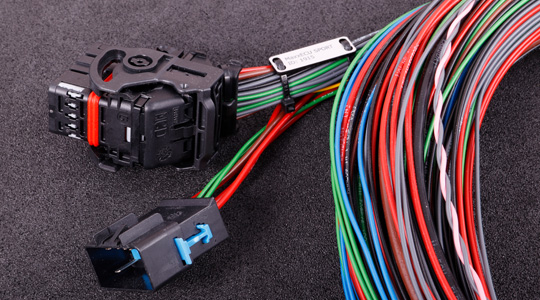 Flying lead harness for MaxxECU SPORT